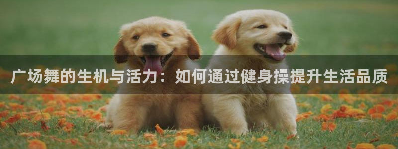 龙8国际平台提款被黑