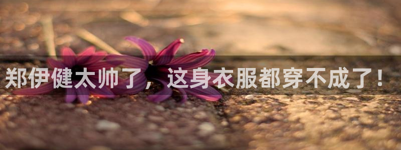 龙8国际官网下载