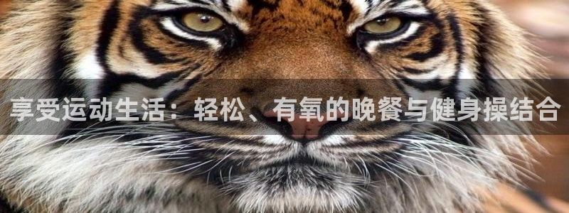 龙8国际老虎机电子