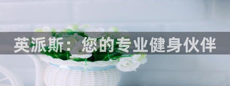 龙8国际官网正版