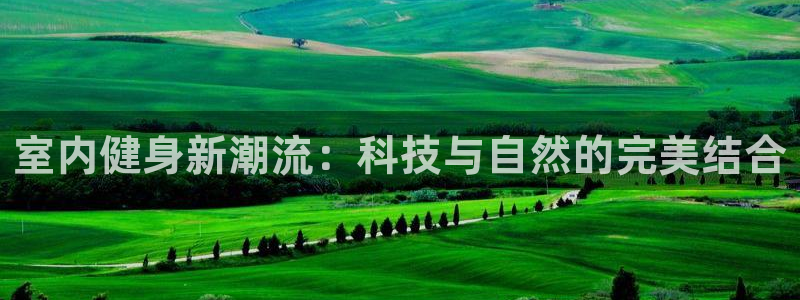 龙8游戏平台的网站