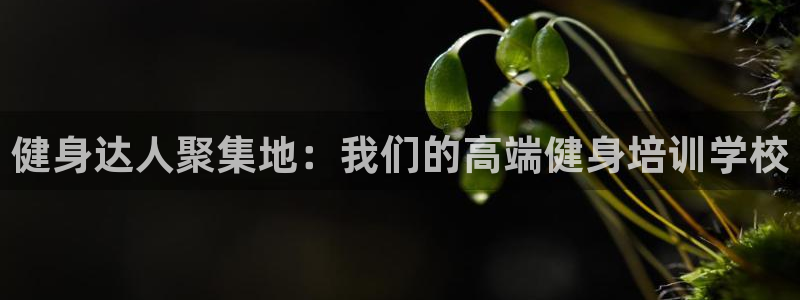 龙8国际游戏最新资讯