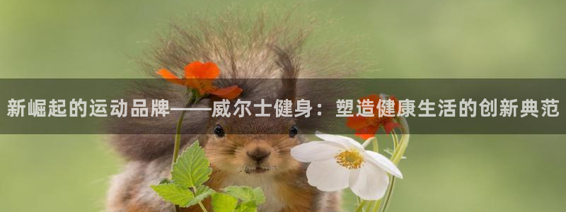 龙八国际娱乐老板是谁